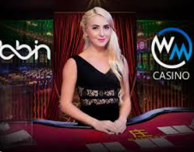 bt365官方体育免费版